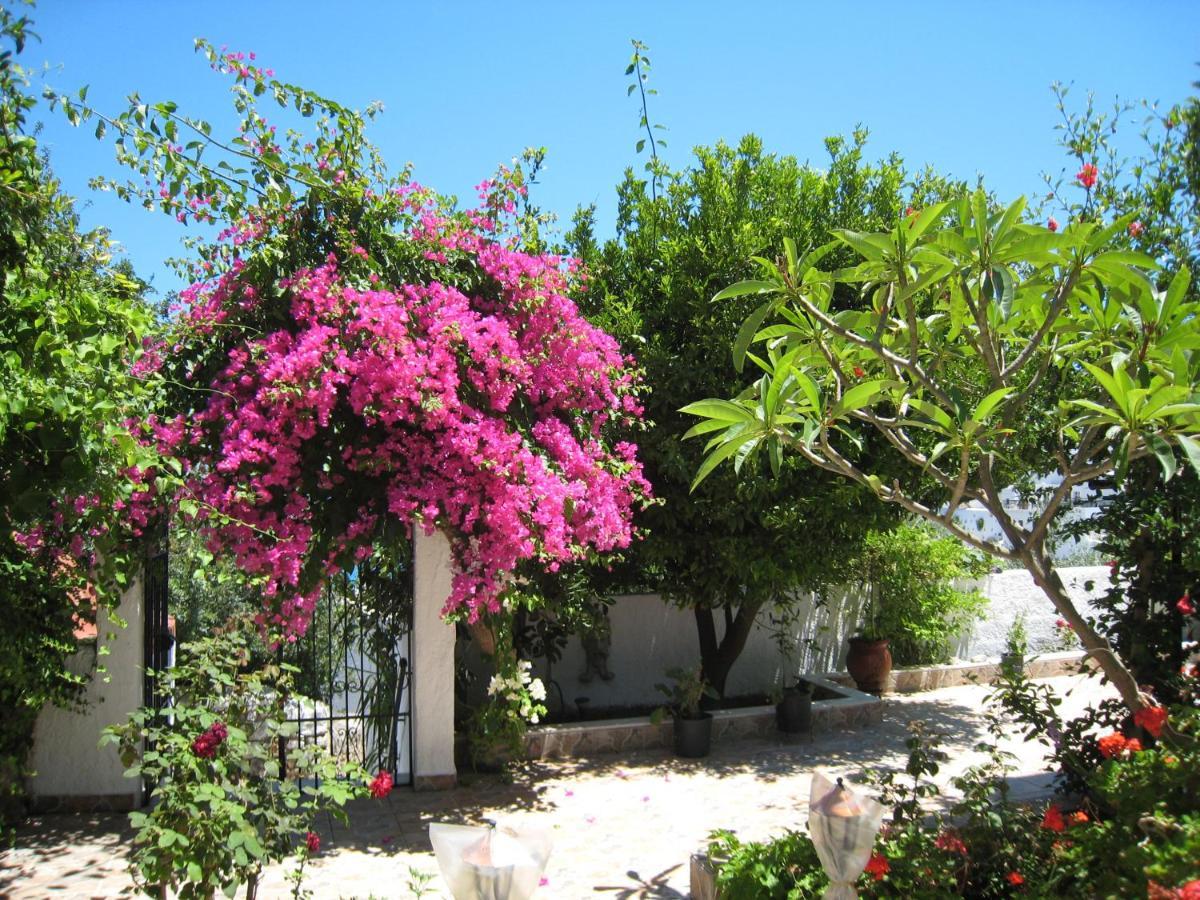 Appartement Eleftheria Lindian I *